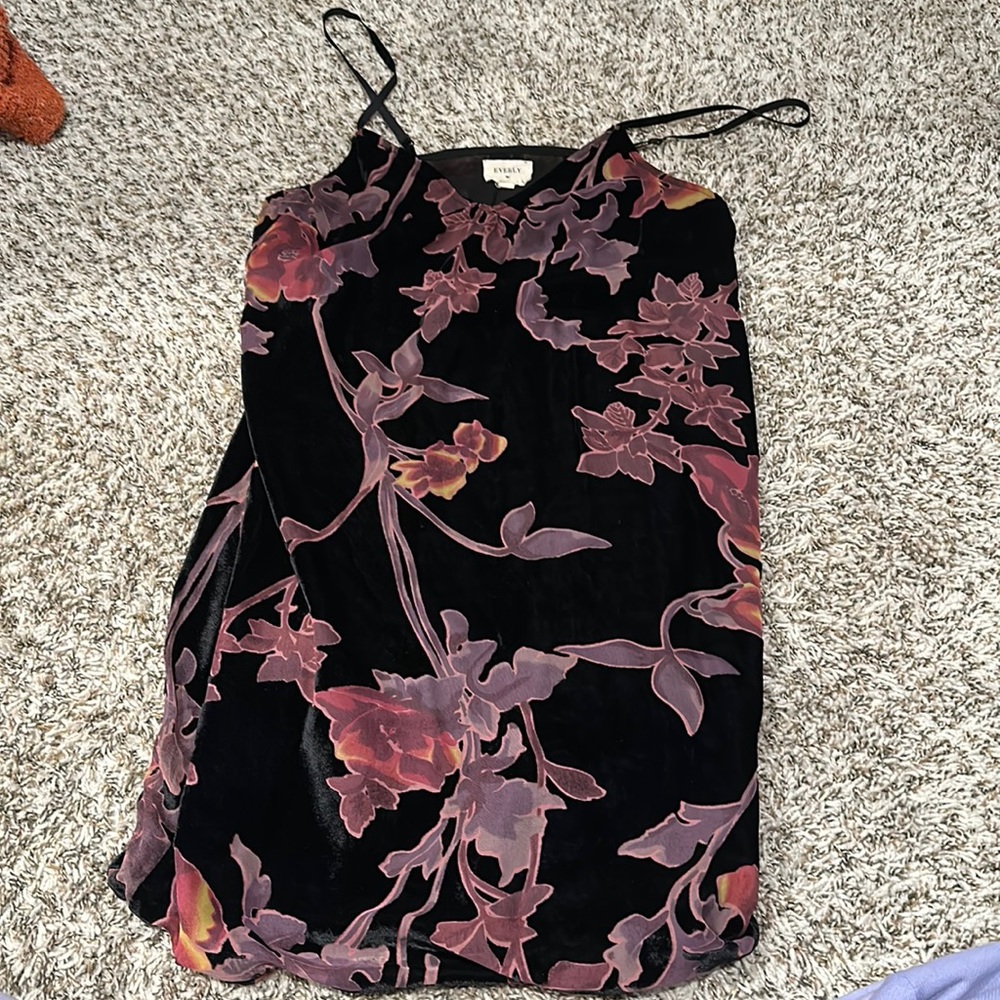 Velvet everly dress